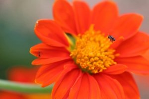 IMG_1766